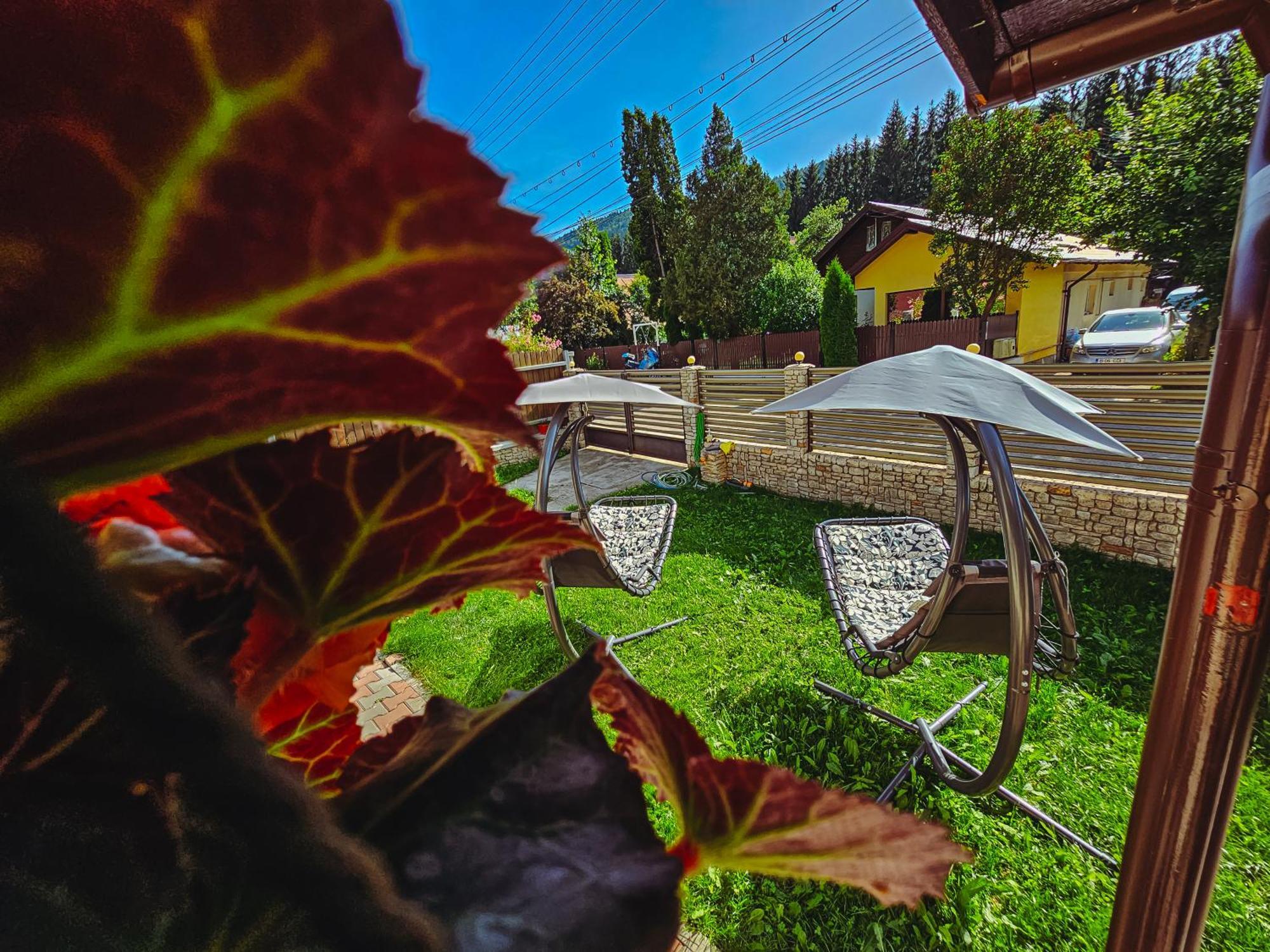 Alpine Bliss Sinaia Otel Dış mekan fotoğraf